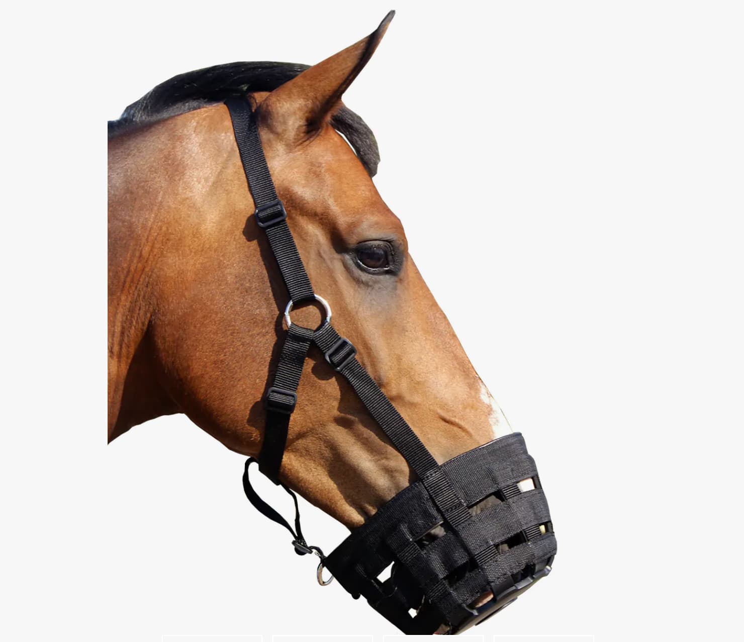 QHP Mundkurv mundkurv